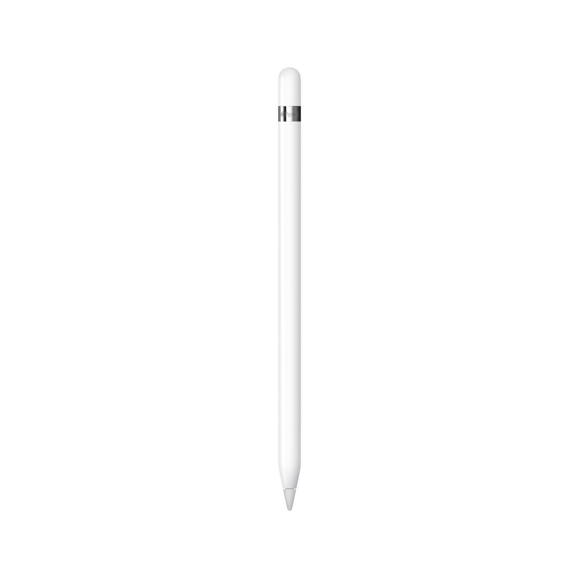 Apple Pencil 1st Generation (2025)